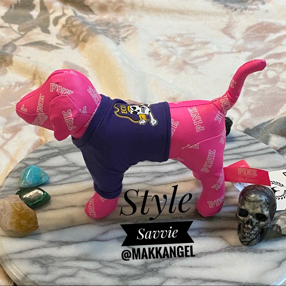 East Carolina University VS Dog